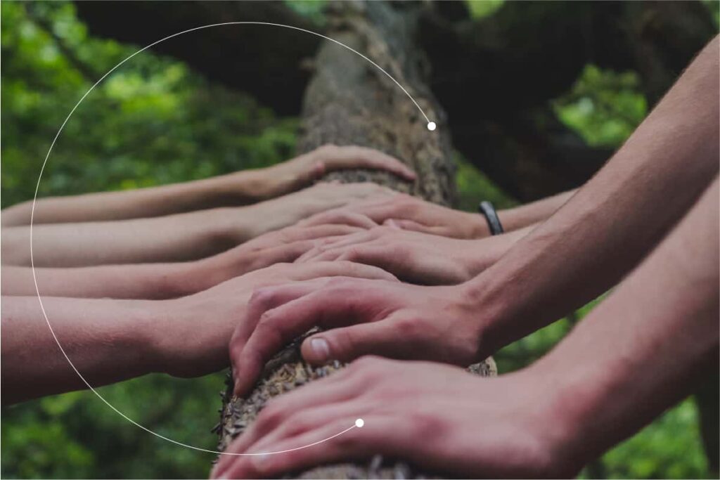 Environmental awareness for socially conscious companies