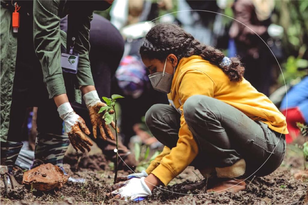 From four generations to a certified B Corporation care innovate and collaborate