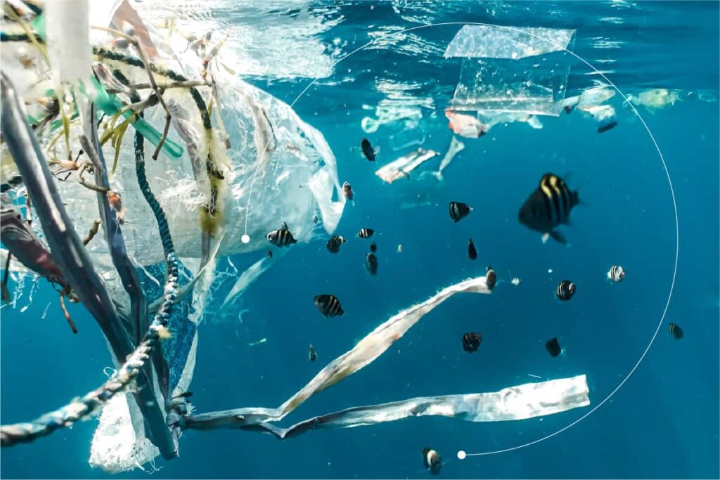 Reduce your plastic footprint and boost your profitability by saying no to plastic