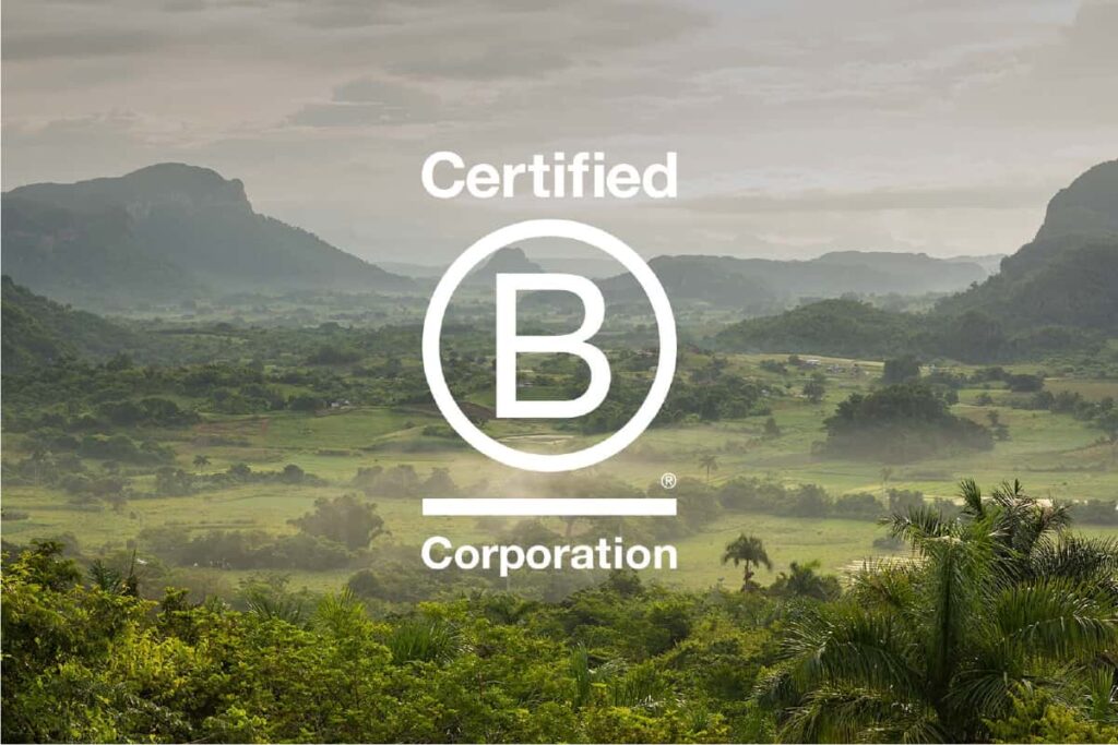 Why do you need to recertify for B Corp?